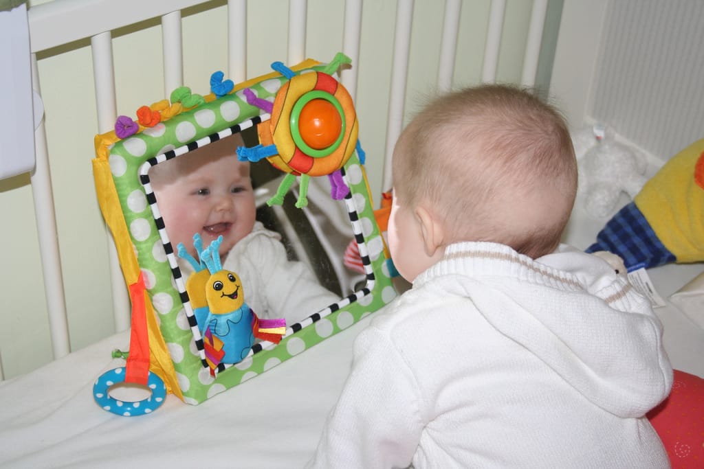 Video: prvo leto življenja v 20 sekundah