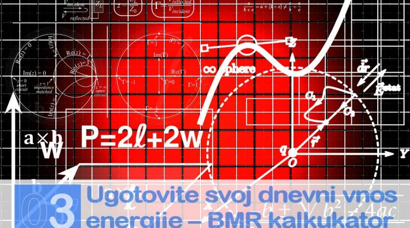 Najboljši vodnik za hujšanje - dnevna poraba energije in BMR kalkulator