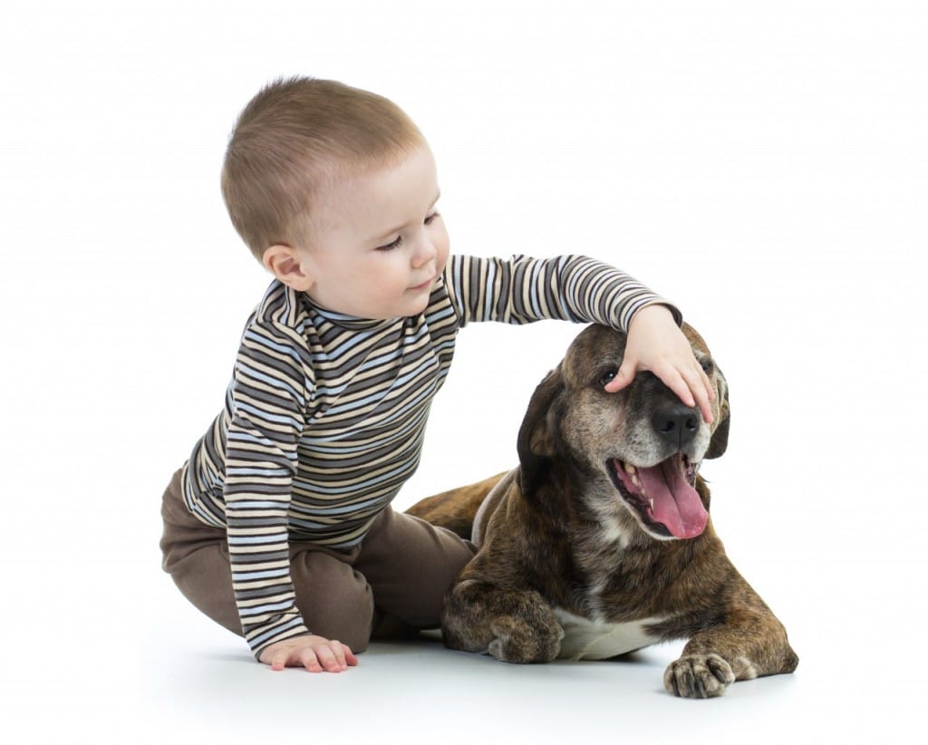 Vir: http://galleryhip.com