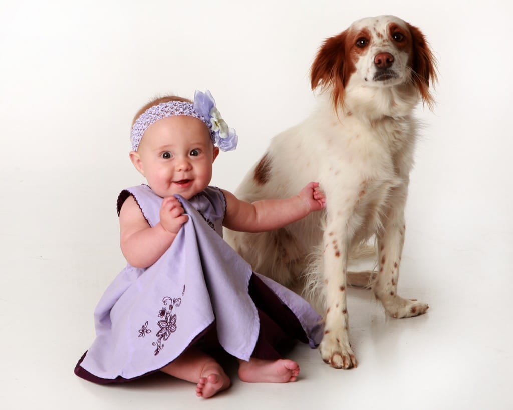 Vir: http://www.kimjew.com