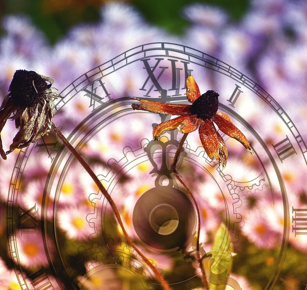 najboljsi-nasveti-psihologov-o-vzgoji-otrok