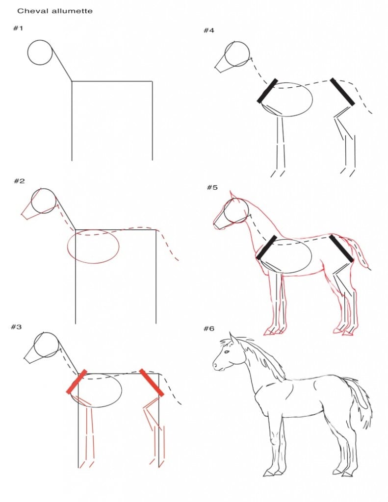 Kako narisati konja?
