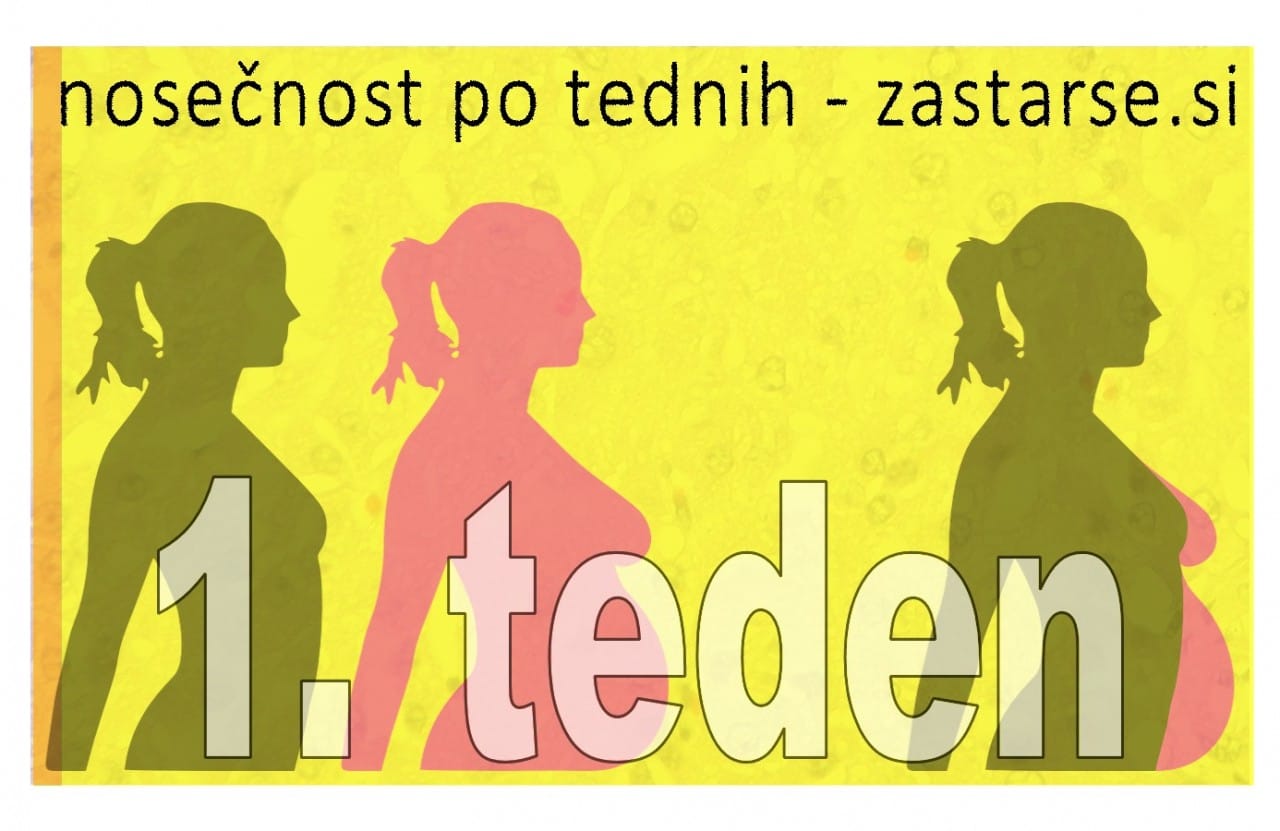 Nosečnost po tednih - 1. teden