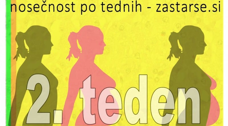 Nosečnost po tednih - 2. teden