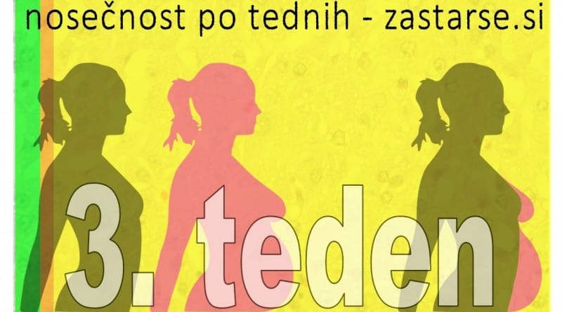 Nosečnost po tednih - 3. teden
