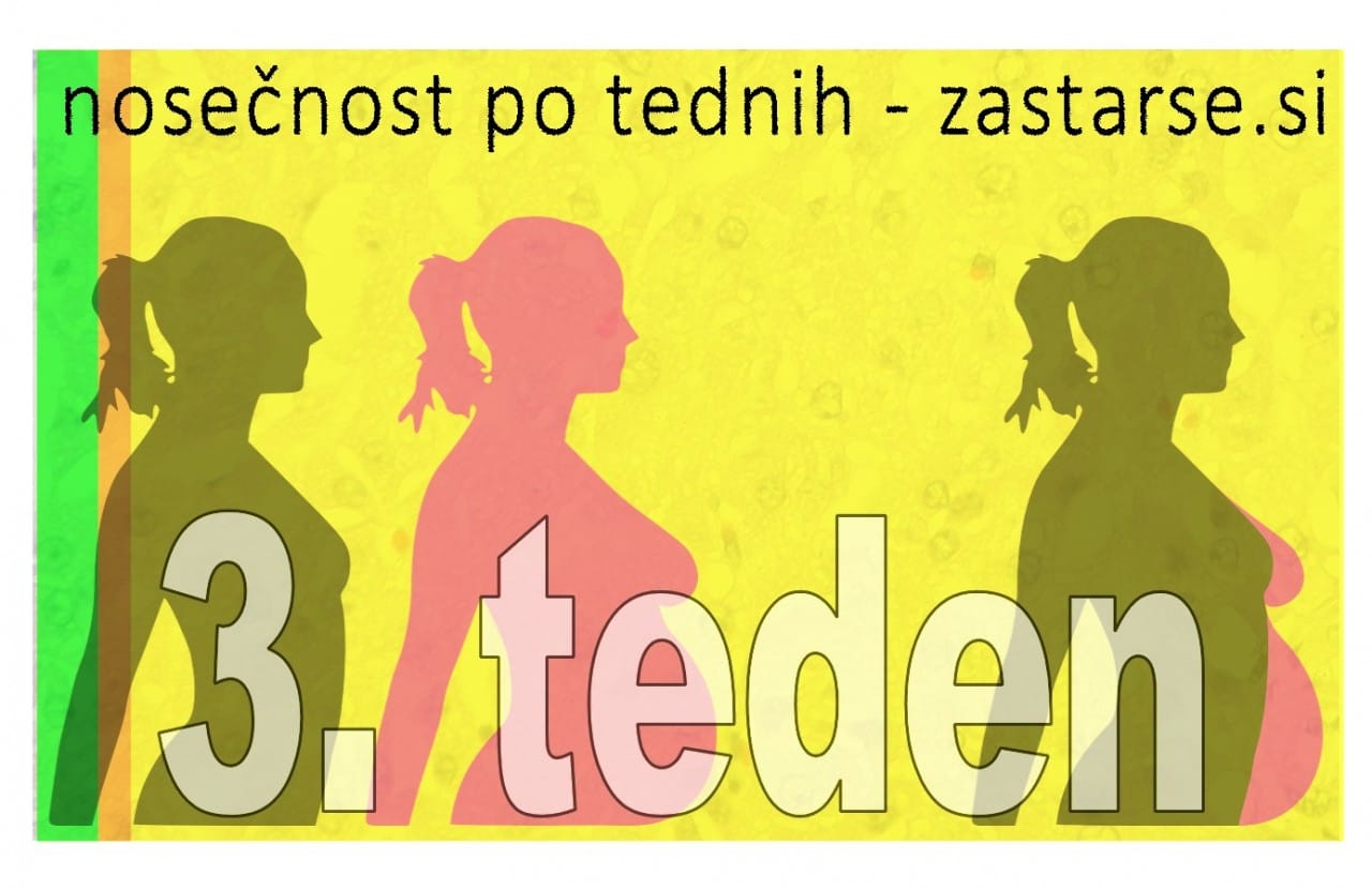 Nosečnost po tednih - 3. teden