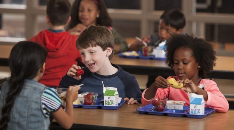 Subvencija kosila, malice in vrtca in otroški dodatek