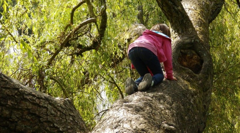 Tvegana igra - zakaj jo otroci obožujejo in potrebujejo