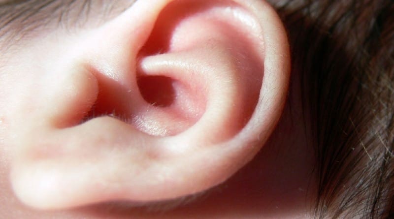 Ušesno maslo – kako čistimo ušesa otrokom