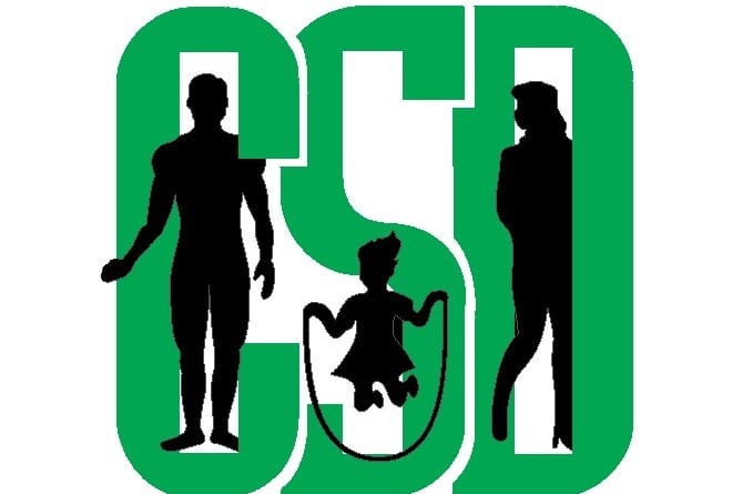 Center za socialno delo – v službi ljudi ali države?