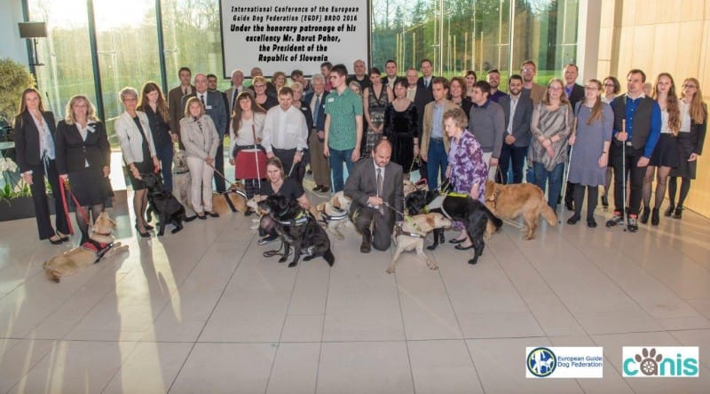 Brez psa vodnika so vse ulice slepe