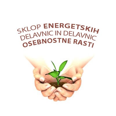 energetska-delavnica