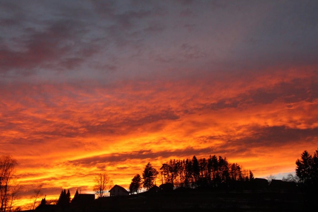 obcutljivost-proti-odpornosti