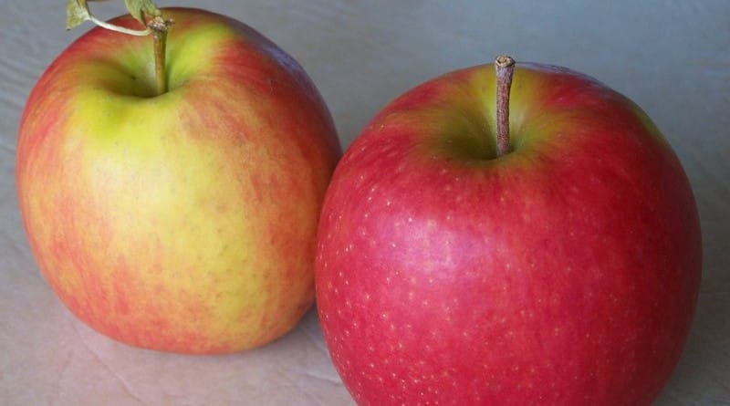 Kje sem naredila napako pri vzgoji tega otroka?