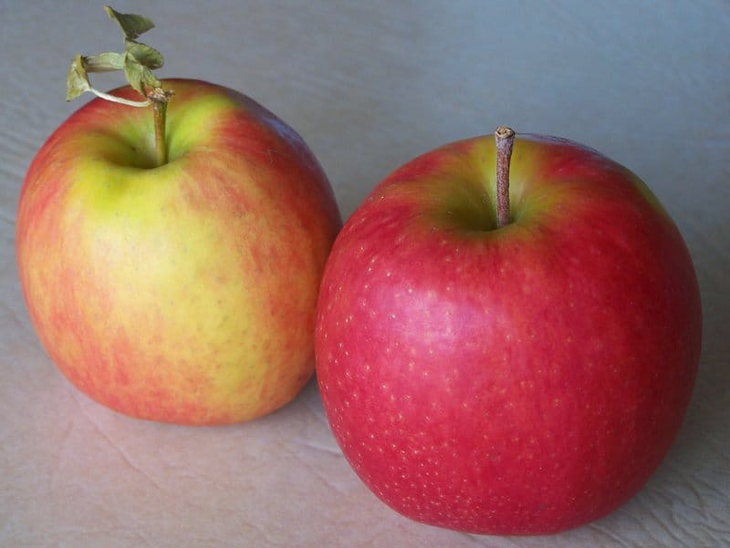 Kje sem naredila napako pri vzgoji tega otroka?