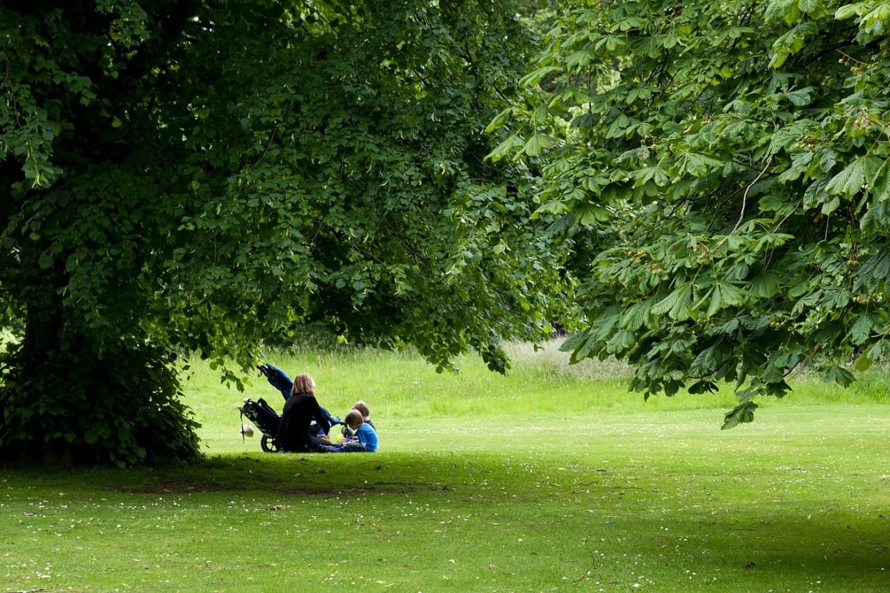 Razvajen otrok je tisti, ki je dobil ljubezen, ne pa tudi discipline