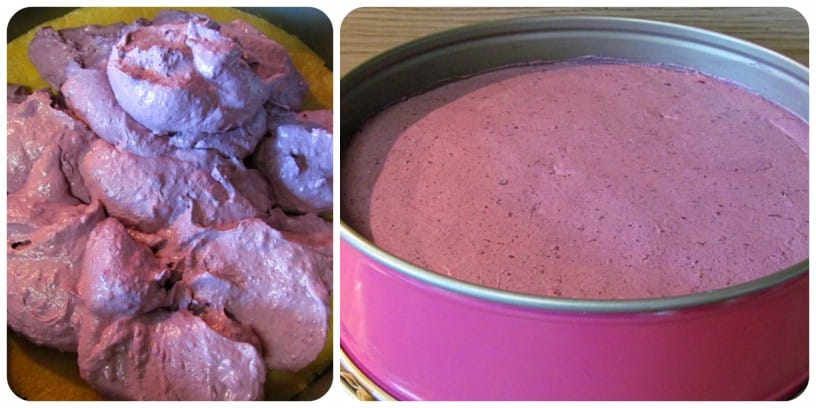 Borovničeva torta brez pečenja