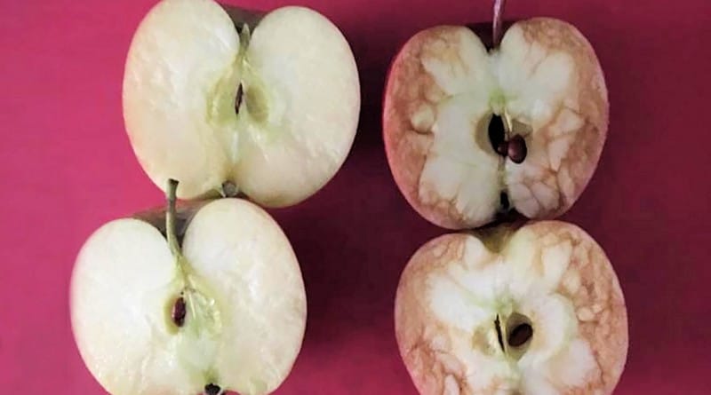 Močna lekcija o vplivu nadlegovanja in maltretiranja