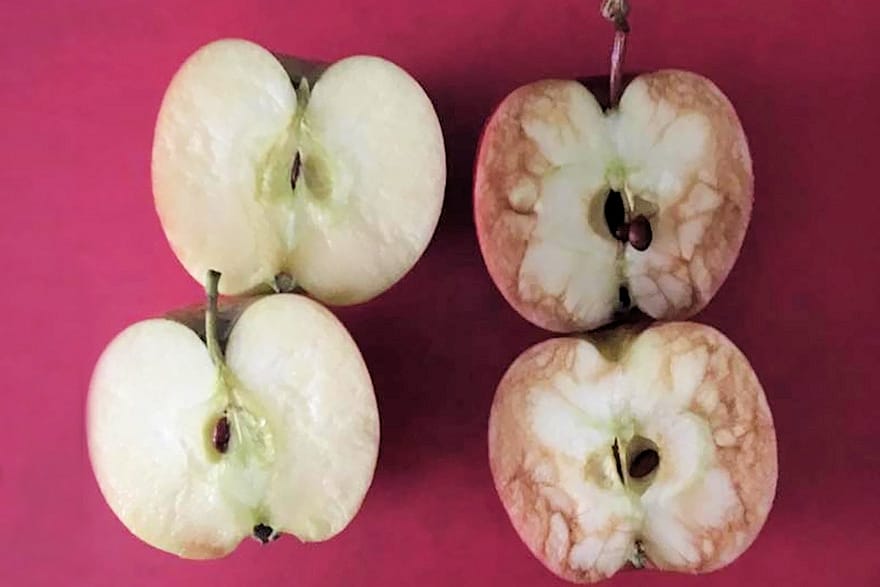 Močna lekcija o vplivu nadlegovanja in maltretiranja