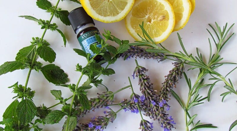 Domače pršilo proti klopom in komarjem