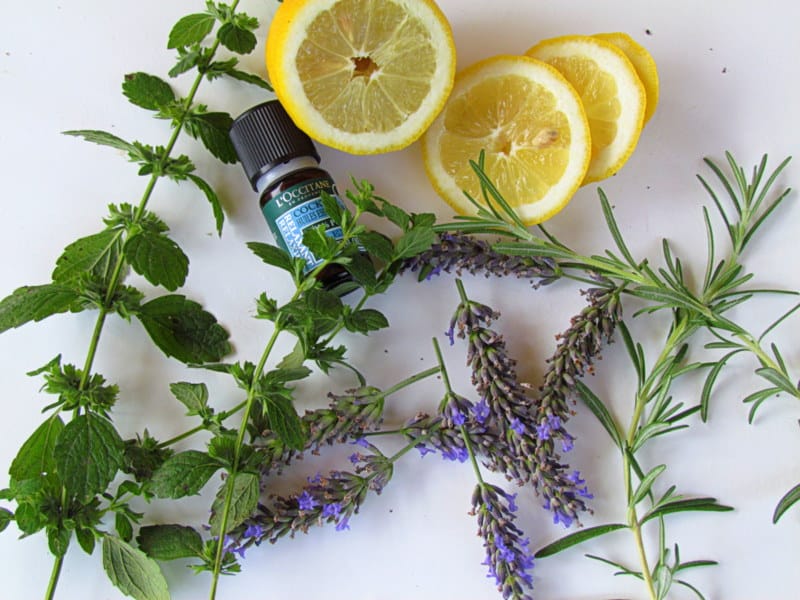 Domače pršilo proti klopom in komarjem