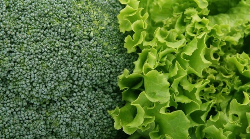 Folna kislina - zakaj je tako pomembna