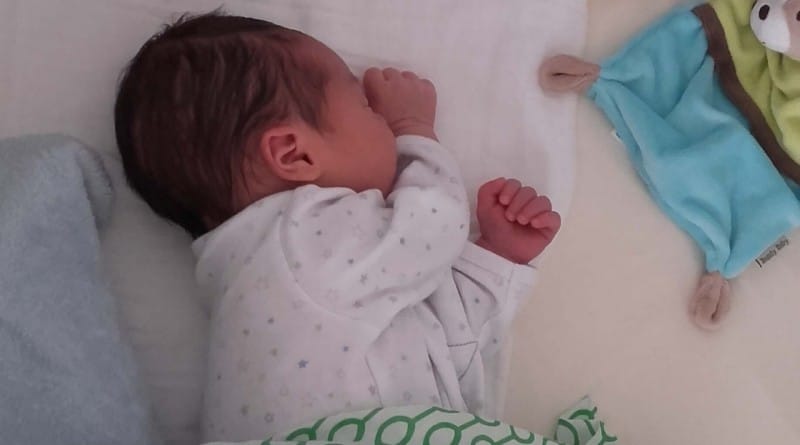 Prvi dnevi z novim šefom