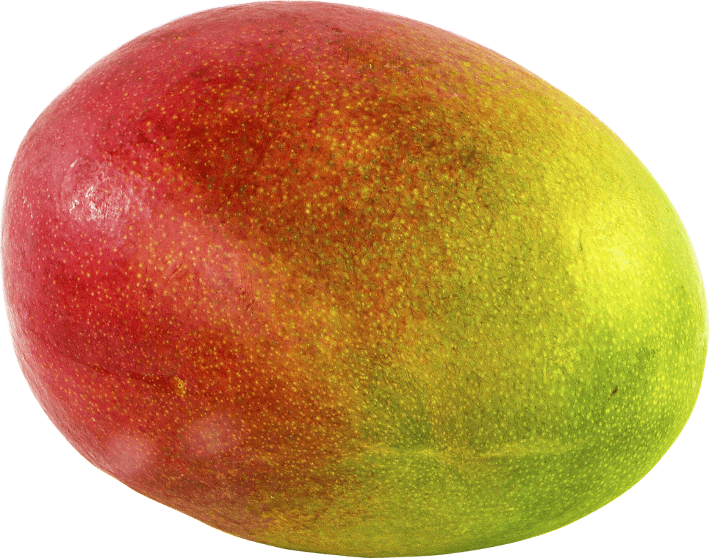 19. teden nosečnosti