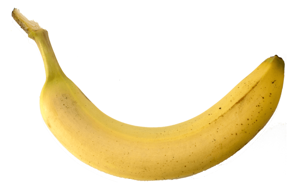 20. teden nosečnosti