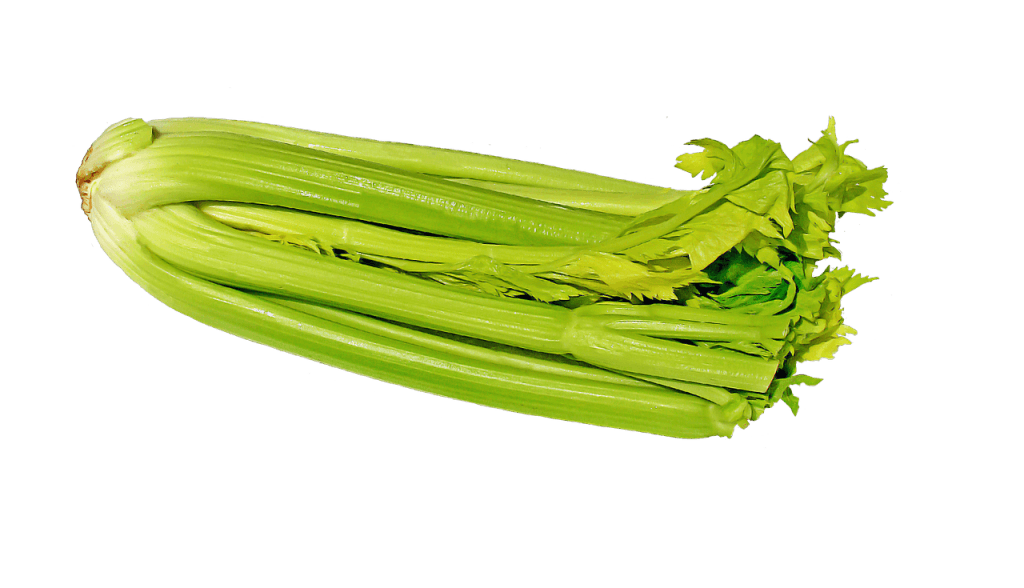 33. teden nosečnosti