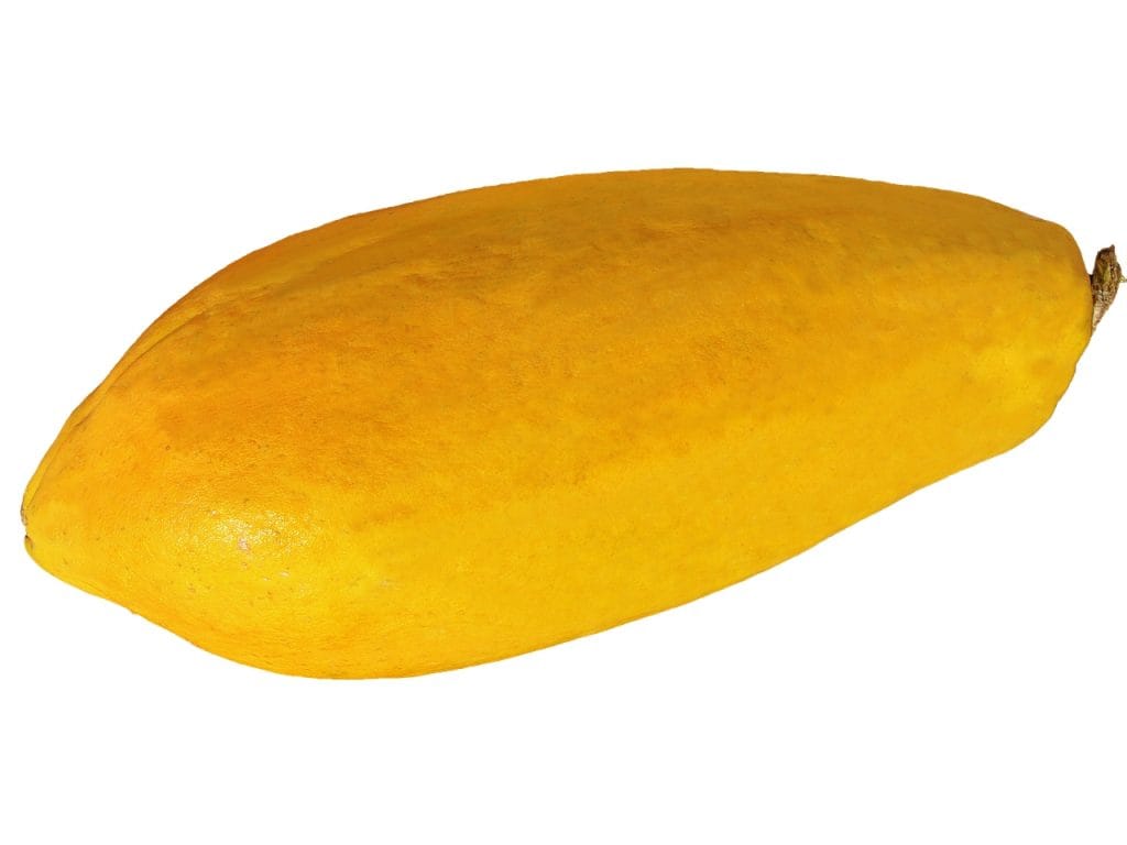 36. teden nosečnosti