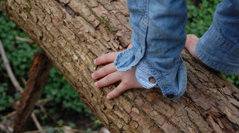 bi-vi-zaradi-tega-tozili-solo