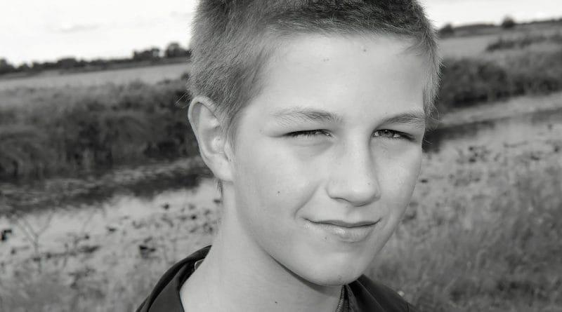 Razvoj trinajstletnika