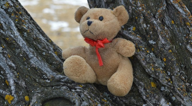 Danajine zlate pravljice: Izgubljeni medvedek - pravljice za lahko noč