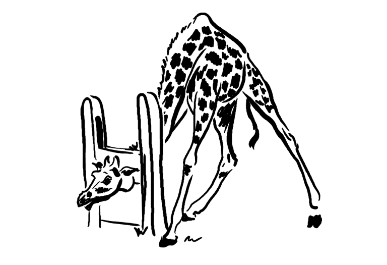 Danajine zlate pravljice: Žirafa ima dolg vrat