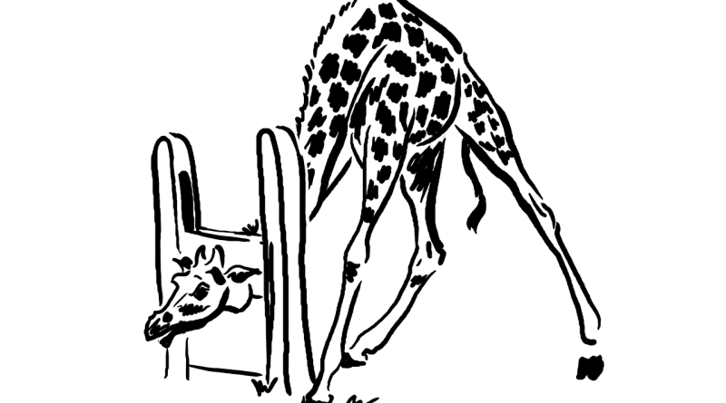Danajine zlate pravljice: Žirafa ima dolg vrat