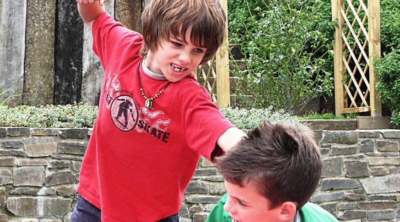 Kako vzgojiti nenasilnega otroka