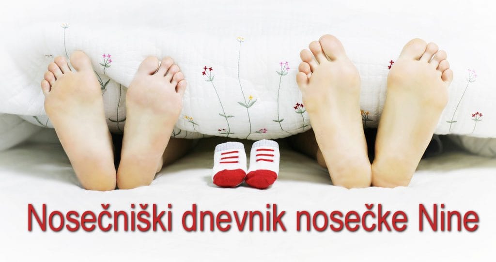 Nosečniški dnevnik nosečke Nine