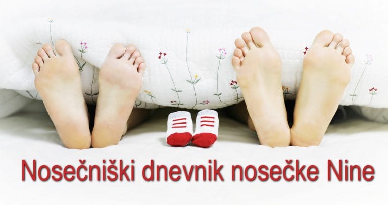Nosečniški dnevnik nosečke Nine