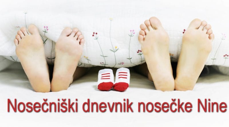 Nosečniški dnevnik nosečke Nine