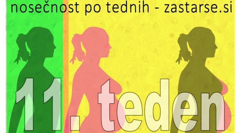 11. teden nosečnosti