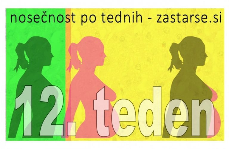 12. teden nosečnosti