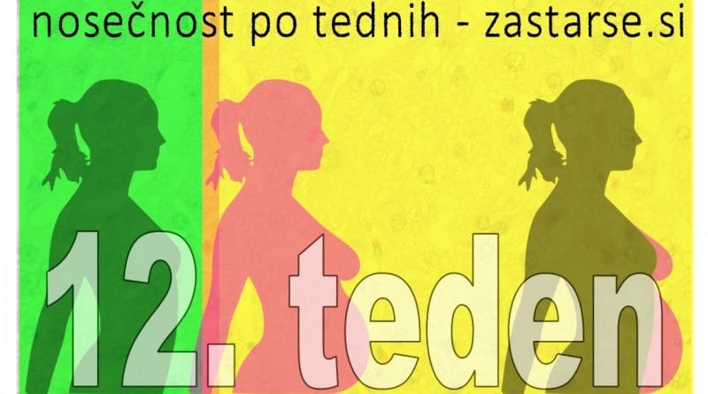 12. teden nosečnosti