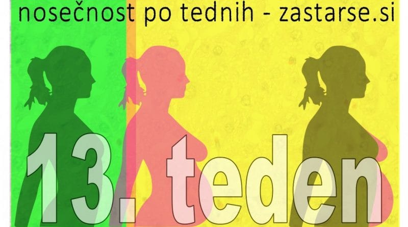 13. teden nosečnosti