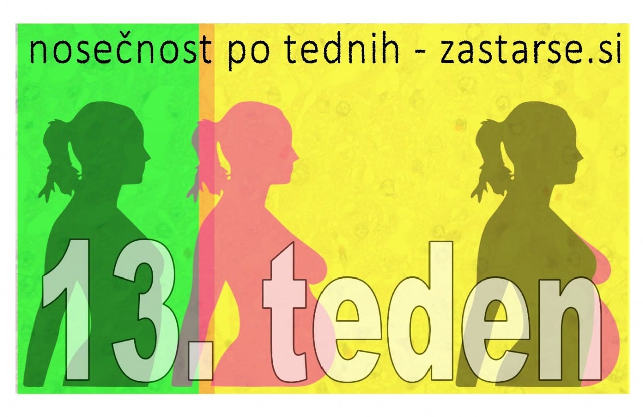 13. teden nosečnosti