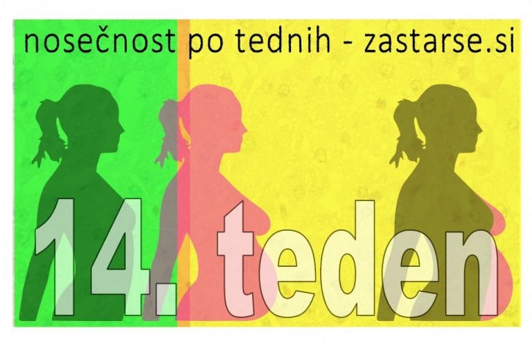 14. teden nosečnosti