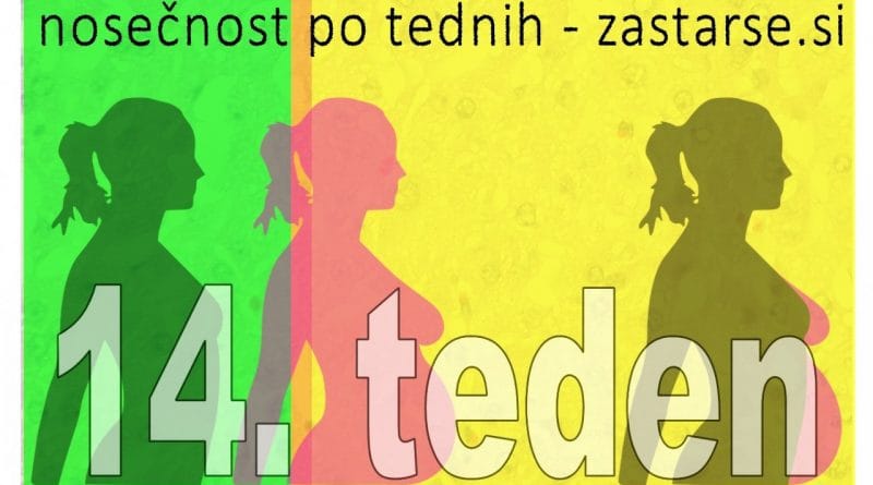 14. teden nosečnosti