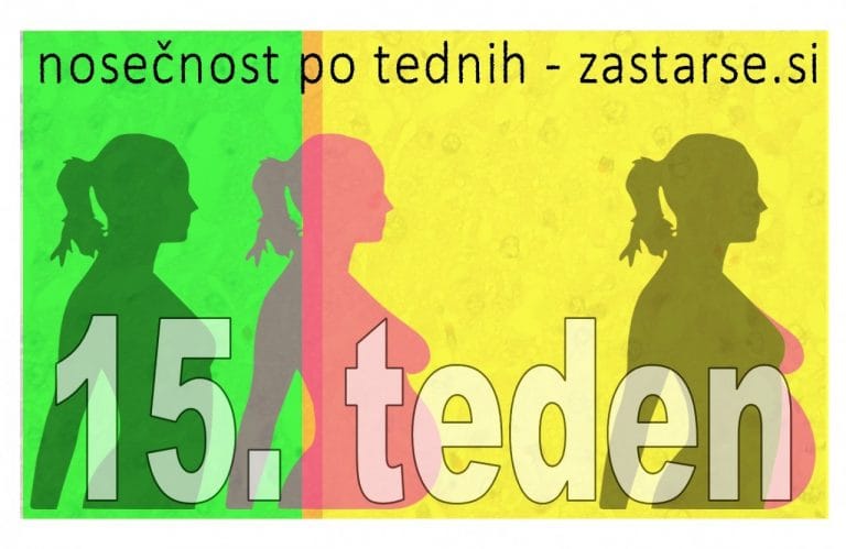 15. teden nosečnosti