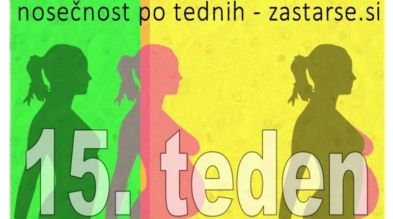 15. teden nosečnosti