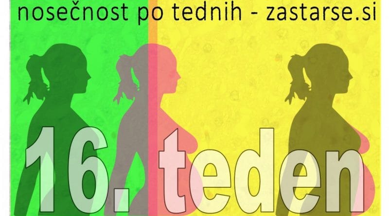 16. teden nosečnosti